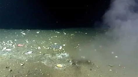 Strange leak spotted in Pacific Ocean floor, scientists say it